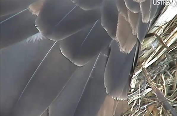 ScreenHunter_16 Feb. 21 10.59.jpg